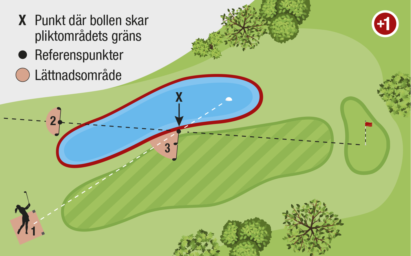 Bild pliktområden